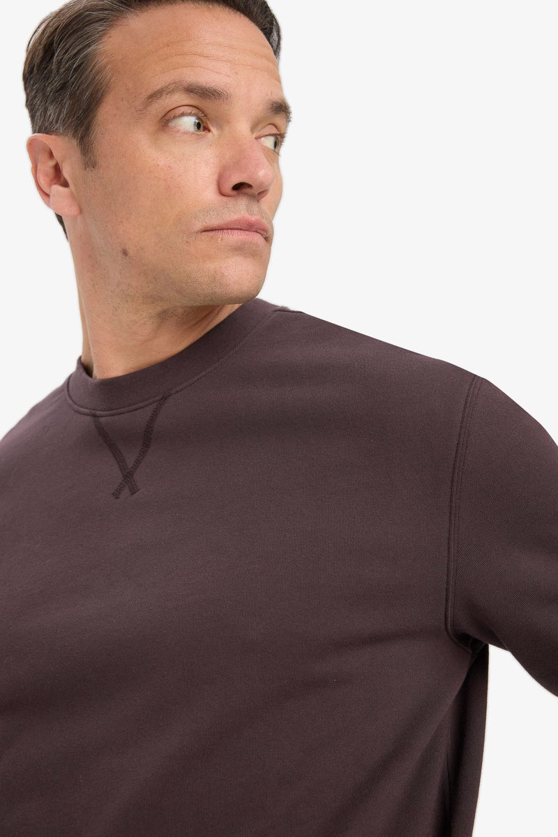 DeFacto Brown Man Cotton Regular Fit Crew Neck Sweatshirt Casual - Image 4